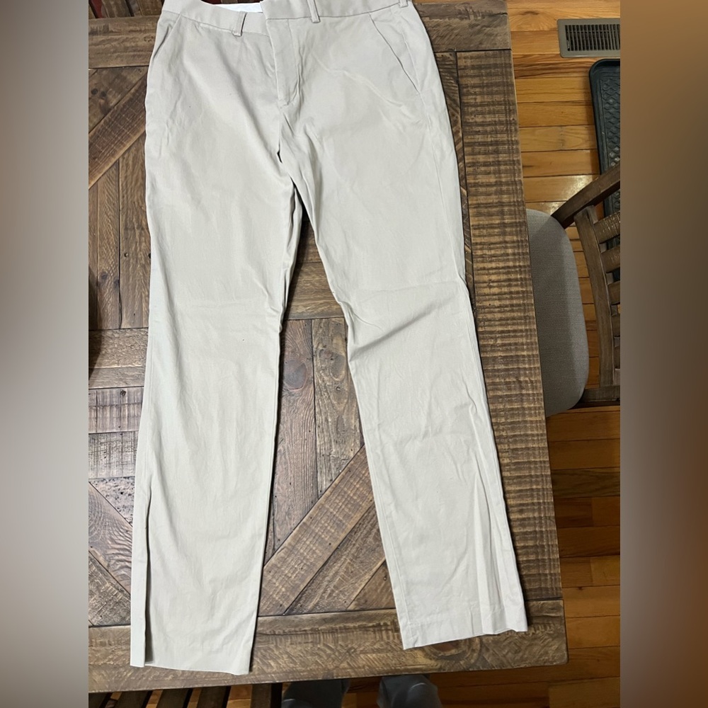 Express Dress Pants